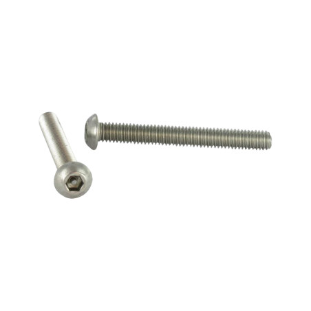 1 x Machine Screw Security Hex Socket Pan Head Cap with pin M4X10 Stainless Steel A2
