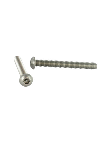 1 x Machine Screw Security BHC+TETON M5X20...