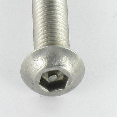 1 x Machine Screw Security Hex Socket Pan Head Cap with pin M5X20 Stainless Steel A2