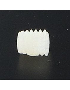 Machine Screw Nylon Socket Head Hexagon Recess M6X6 Dog...