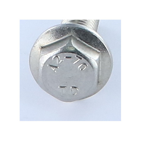 1 x Machine Screw Hexagonal Head Flanche Without Serration M10X20 Stainless Steel A2