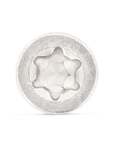 1 x Machine Screw Pan Head Low T8 M2.5X10 Full...