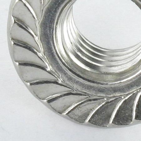 1 x Hexagonal nut Stainless Steel A2 Flange With Serration M12 +GLEITMO 615