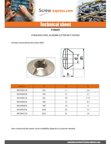 1 x Raised countersunk nuts with slotted M3...