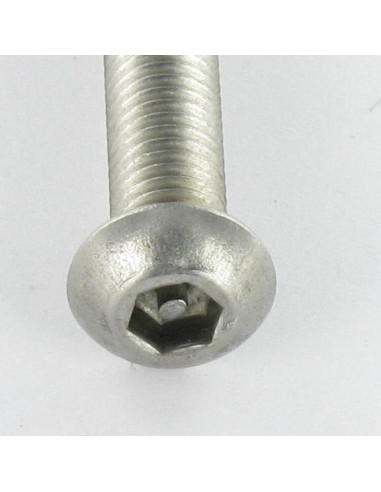 1 x Machine Screw Security BHC+TETON M5X25...