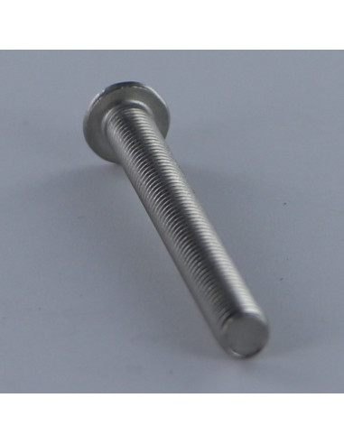 1 x Machine Screw Head Pan Head T50 M10X55...