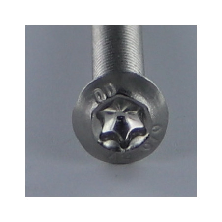 1 x Machine Screw Head Pan Head T30 M6X18 Full Thread Stainless Steel A2