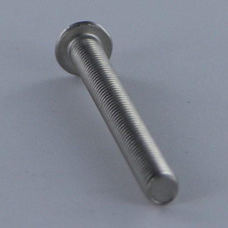 1 x Machine Screw Head Pan Head T30 M6X22 Thread Length: 22 Full Thread Stainless Steel A2