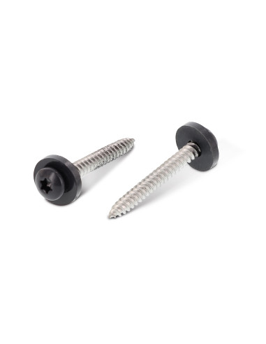 1 x Thread Rolling Screw Pan Head T15 + Washer...