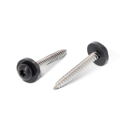 1 x Thread Rolling Screw Pan Head T15 + Washer Nylon 3.9X25 Stainless Steel A2 Ral7016/Anthracite Grey