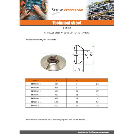 1 x Raised countersunk nuts with slotted M6 Stainless Steel A4