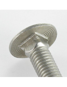 Carriage Bolt Stainless Steel A2 M8X40 Partial Thread 2