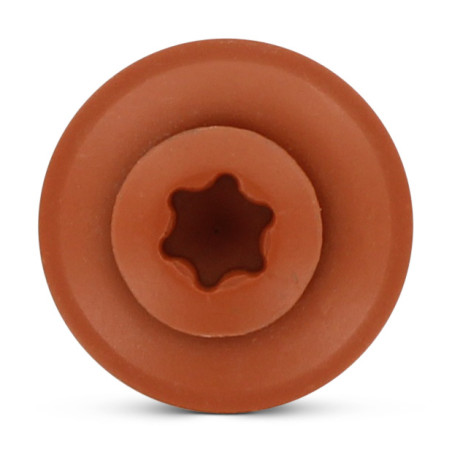 1 x Rsd Csk Woodscrews Bonded Sealing Washer Pan Countersunk Head T20 Stainless Steel A2 Ral8004/Copper Brown 4.5X25