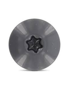 Head Facade Screws T20 4.8X25 Head Diameter: 12.3... 2