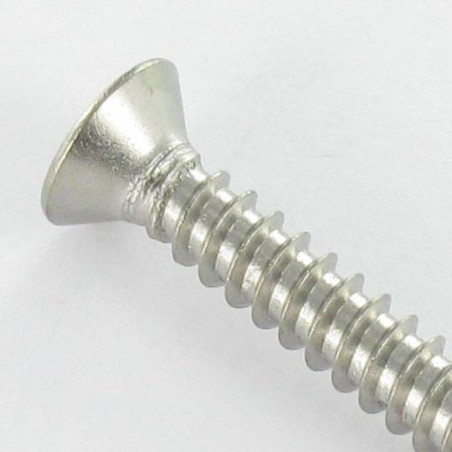 1 x Thread Rolling Screw Security Countersunk Head SNAKE EYES 4.8X50 Stainless Steel A2