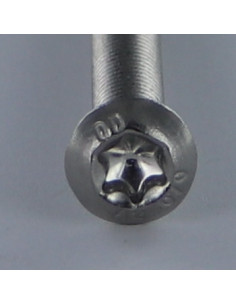 Machine Screw Head Pan Head T25 M5X6 Thread Length: 6... 2