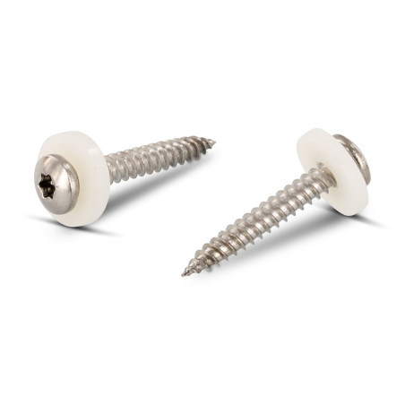 1 x Thread Rolling Screw Pan Head T15 + Washer Nylon 3.9X22 Stainless Steel A2 Natural