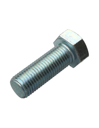1 x Machine Screw Hexagonal Head M22X50 Class...