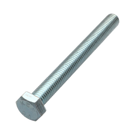 1 x Machine Screw Hexagonal Head M12X100 Class 8.8 Zinc Plated