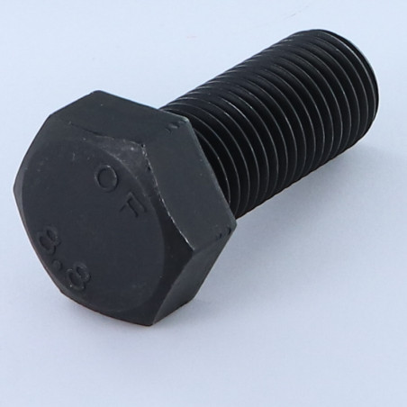 1 x Machine Screw Hexagonal Head M22X50 Class 8.8 Steel