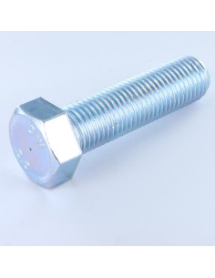 Machine Screw Hexagonal Head M24X60 Class 8.8 Zinc Plated