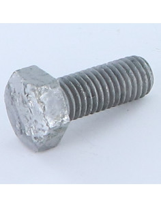 Machine Screw Hexagonal Head M12X20 Class 8.8 Hot Dip...