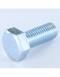 Machine Screw Hexagonal Head M24X40 Class 8.8 Zinc Plated