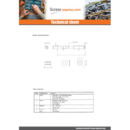 1 x Stud Anchor M10X60 Stainless Steel A4