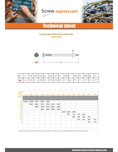 Kg of nails Steel Flat Head 6X160 2