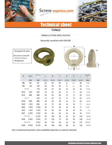 1 x Eye Nut Female M22 Steel