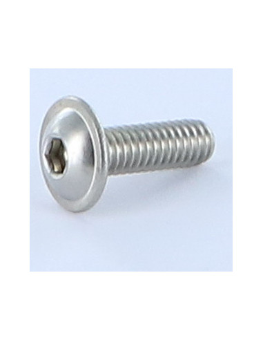 1 x Machine Screw Hex Socket Pan Head Cap...