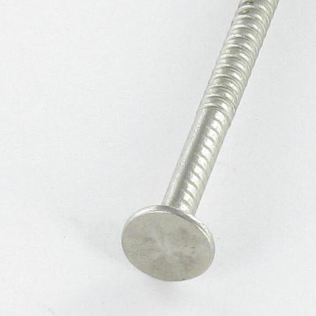 1 x Kg of nails Retaining Rings Flat Head 35 Diameter 2.3 Stainless Steel A2