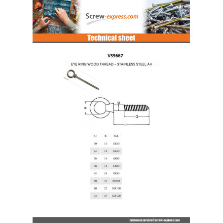 1 x Piton For Eye thread Wood EYE18 8X100