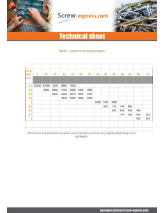Kg of nails SLATE Extra Large Head 3X80 Head Diameter: 12... 2