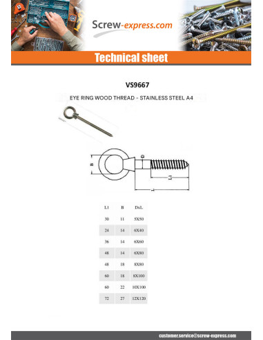 1 x Piton For Eye thread Wood EYE27 12X120
