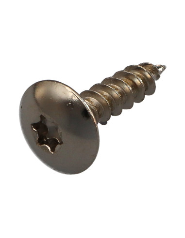 1 x Screw Truss 6X25 Full Thread T30 Nickel Plated