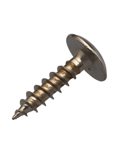 1 x Screw Truss 6X25 Full Thread T30 Nickel Plated