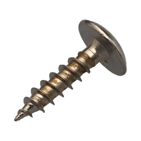 1 x Screw Truss 6X25 Full Thread T30 Nickel Plated