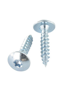 Screw Truss 4.5X50 Full Thread T20 Zinc Plated LAQ RAL1019