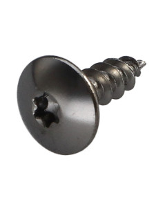 Screw Truss 5X16 Full Thread T20 Plain Chromed