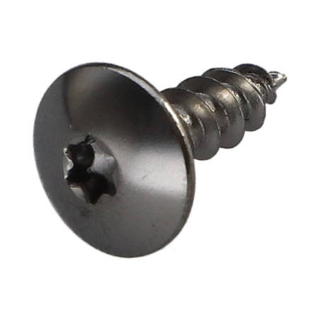 1 x Screw Truss 5X16 Full Thread T20 Plain Chromed