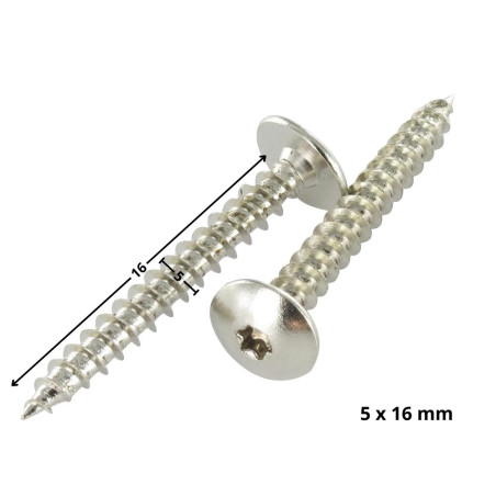 1 x Screw Truss 5X16 Full Thread T20 Plain Chromed
