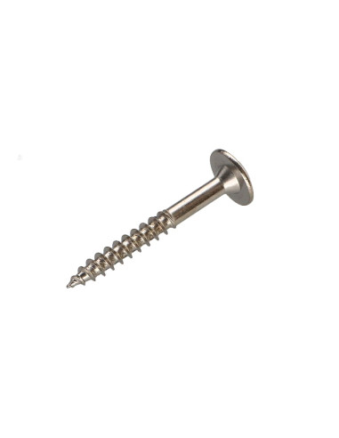 1 x Screw Truss 5X40 Full Thread T20 Nickel Plated