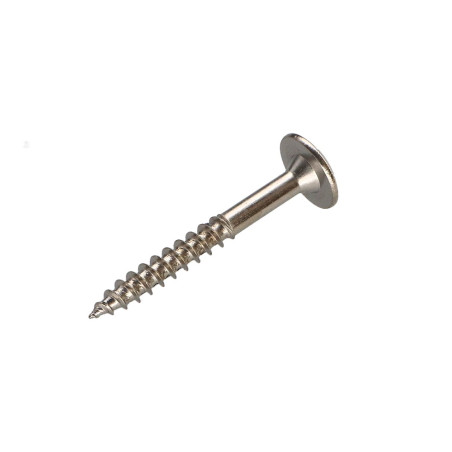 1 x Screw Truss 5X40 Full Thread T20 Nickel Plated