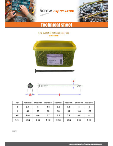 Bucket of 5 Kilogram Of Nails Flat Head Steel 3X65