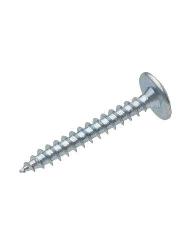 1 x Screw Truss 6X50 Partial Thread T30 Zinc...
