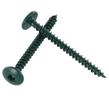1 x Screw Truss 4.5X50 Full Thread T20 Zinc Plated LAQ Ral6021/Pale Green