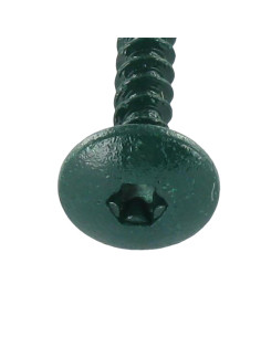 Screw Truss 4.5X50 Full Thread T20 Zinc Plated LAQ... 2