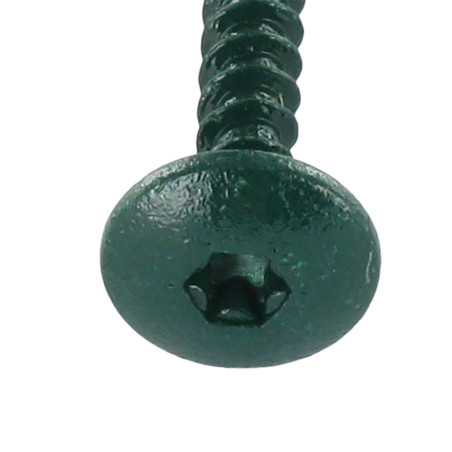 1 x Screw Truss 4.5X50 Full Thread T20 Zinc Plated LAQ Ral6021/Pale Green