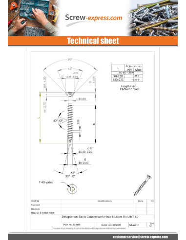 1 x Chipboard Screw Countersunk Head T40 8X100...